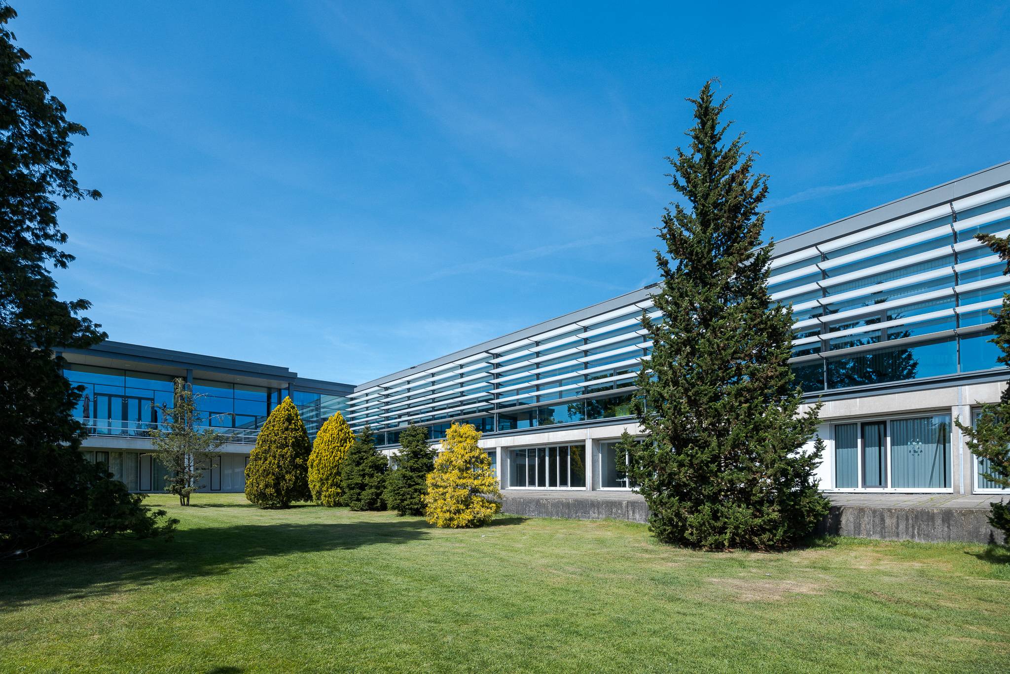 20250430_DSPF-Twente-JoniIsraeli-106-SWR53462